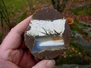Richardson Ranch Opal and Agate Thunderegg cut Half