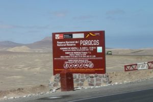 Desert Roses from Peru