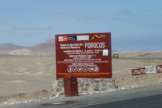 Desert Roses from Peru