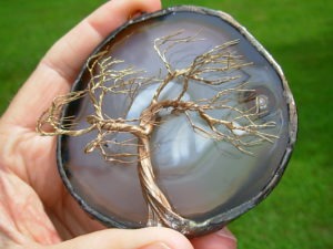 Winds of Change Tree of Life