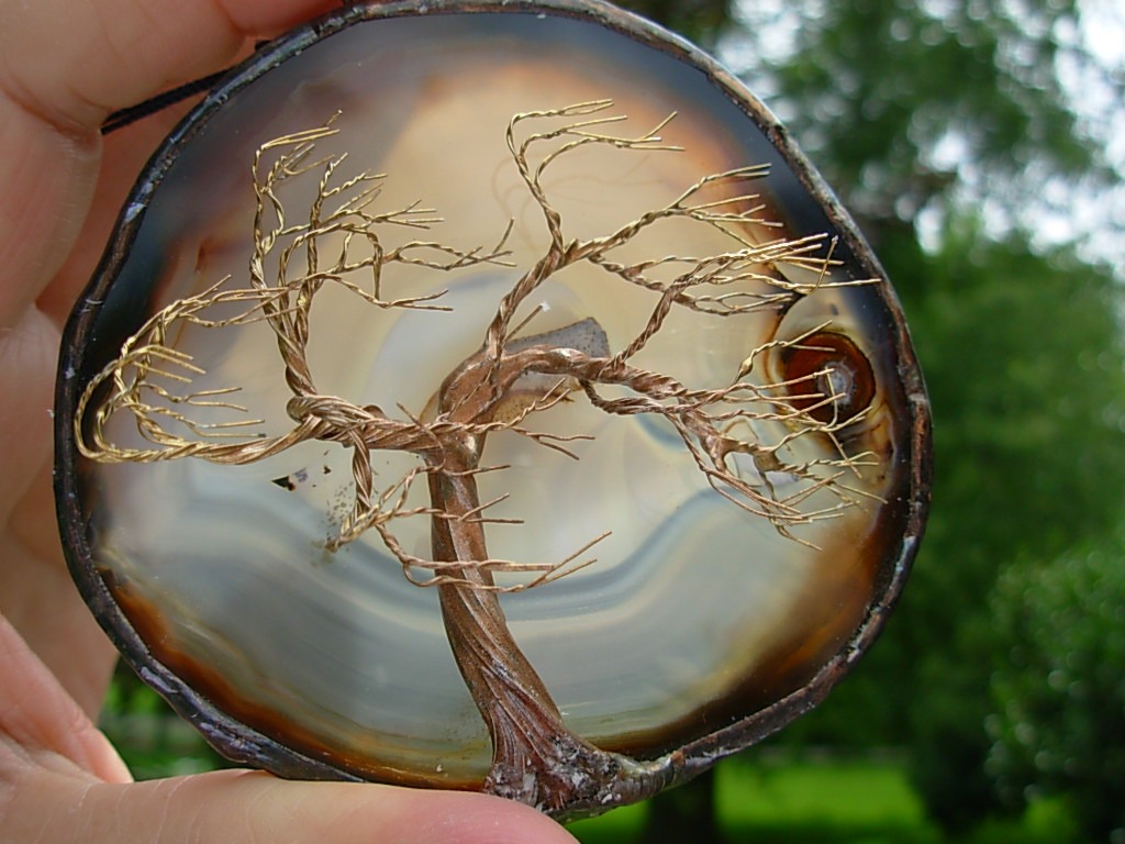 Winds of Change Tree of Life