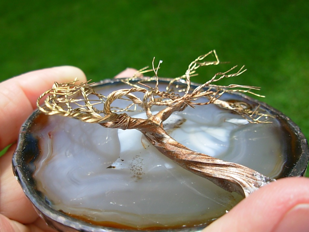 Winds of Change Tree of Life