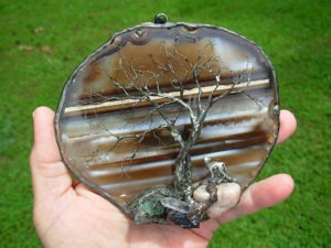 Sundown Tree of Life