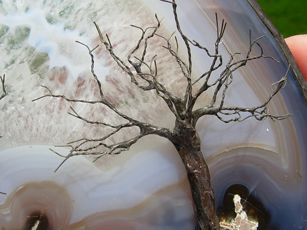 Two Trees of Life with Bear