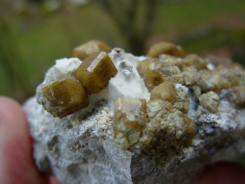 Yellow Brown Vesuvianite Crystals on Matrix from Mexico