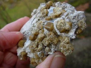 Yellow Brown Vesuvianite Crystals on Matrix from Mexico