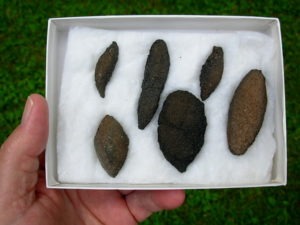 Volcanic Bombs from near Amboy Cinder Cone, Mojave Desert, California