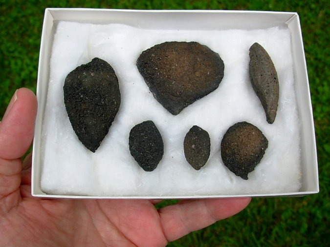 Volcanic Bombs from near Amboy Cinder Cone, Mojave Desert, California