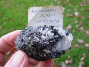 Wolframite in Quartz Cumbria UK