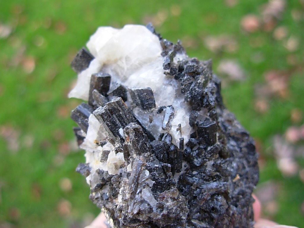 Wolframite in Quartz Cumbria UK