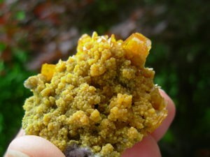 Wulfenite