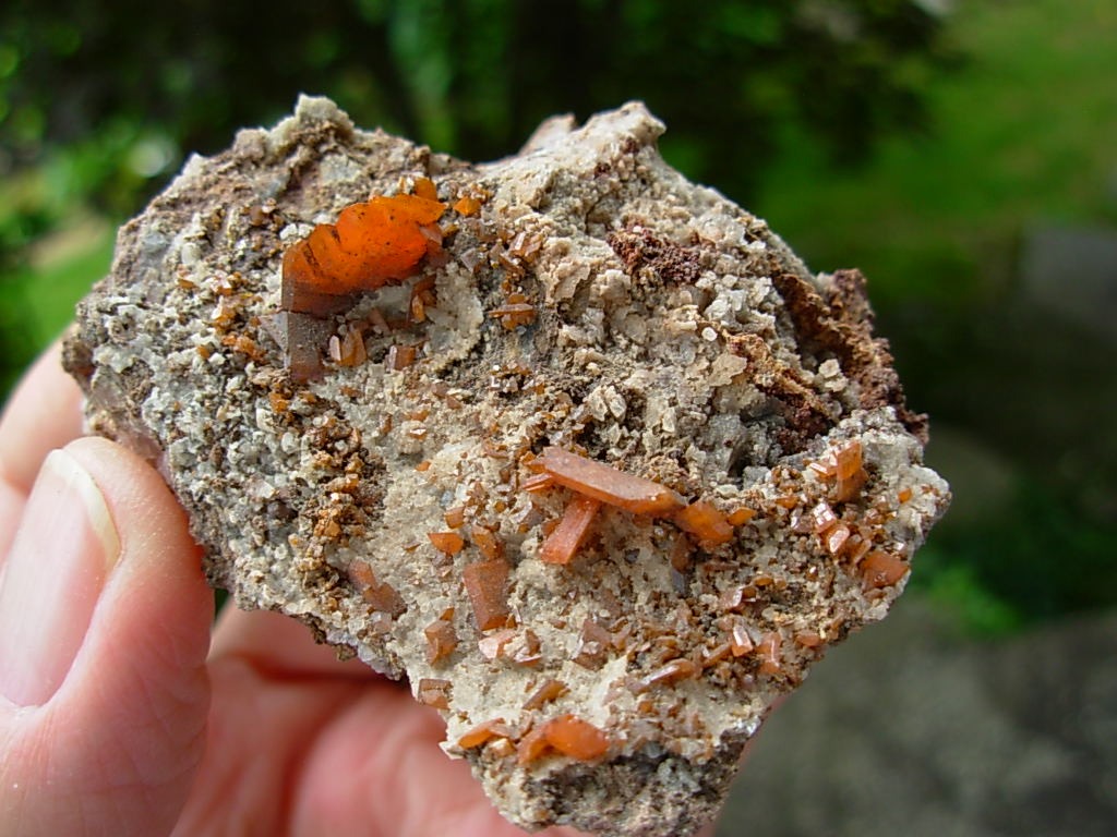 Wulfenite Crystals from the Red Cloud Mine