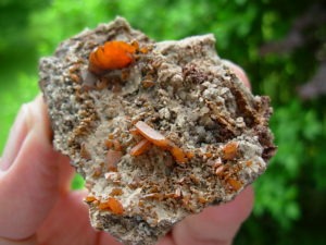 Wulfenite Crystals from the Red Cloud Mine