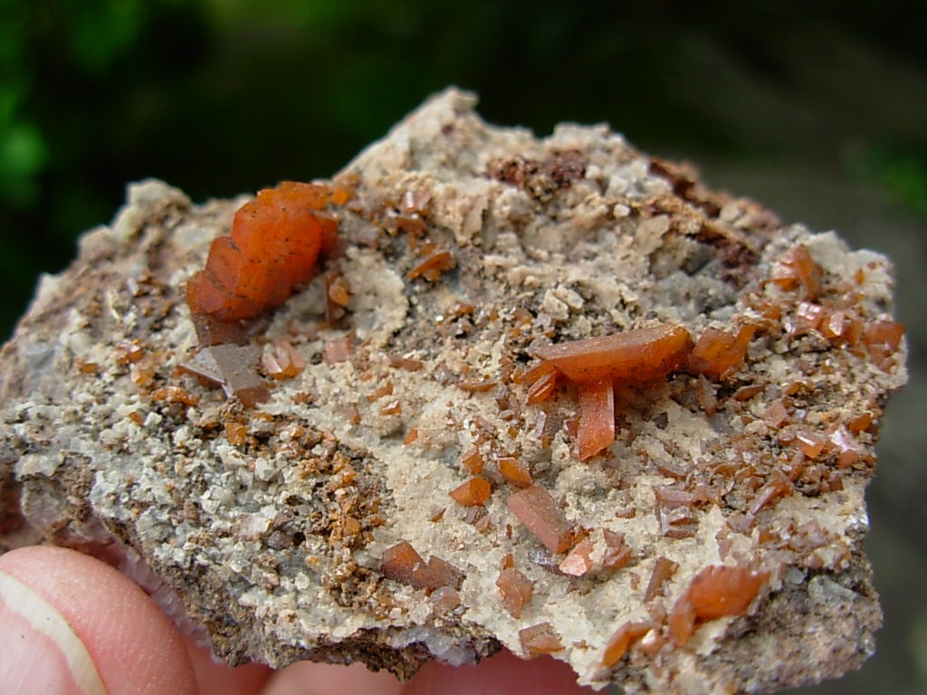 Wulfenite Crystals from the Red Cloud Mine