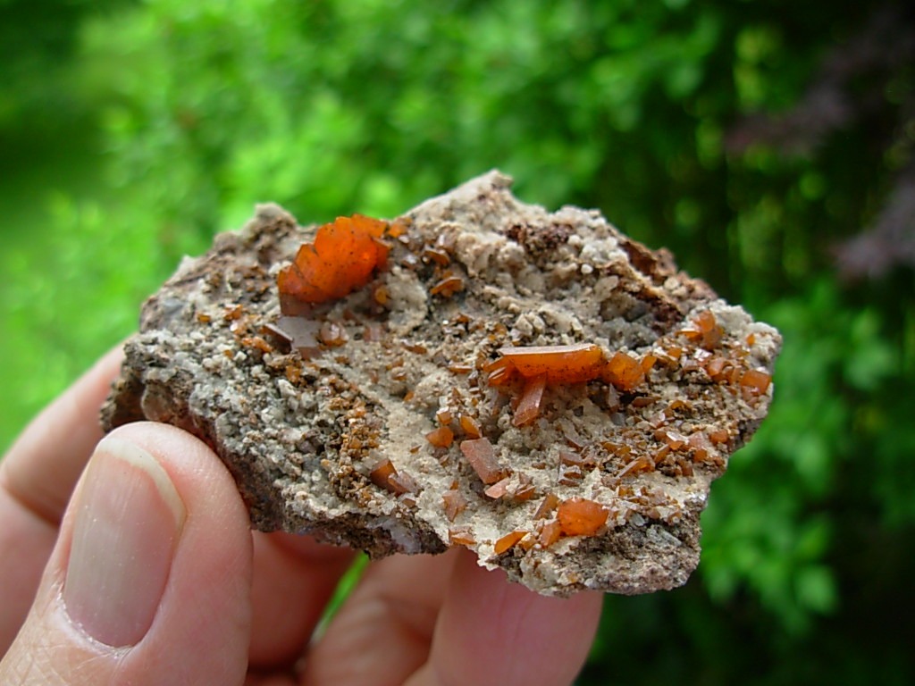 Wulfenite Crystals from the Red Cloud Mine