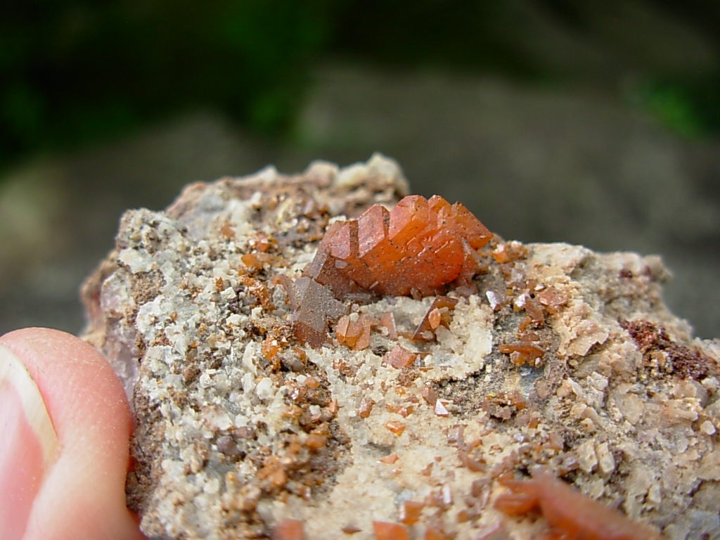 Wulfenite Crystals from the Red Cloud Mine