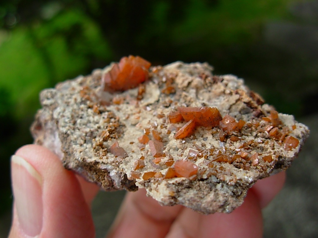 Wulfenite Crystals from the Red Cloud Mine