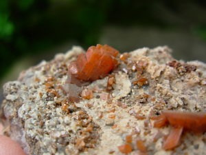 Wulfenite Crystals from the Red Cloud Mine