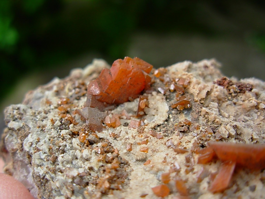 Wulfenite Crystals from the Red Cloud Mine