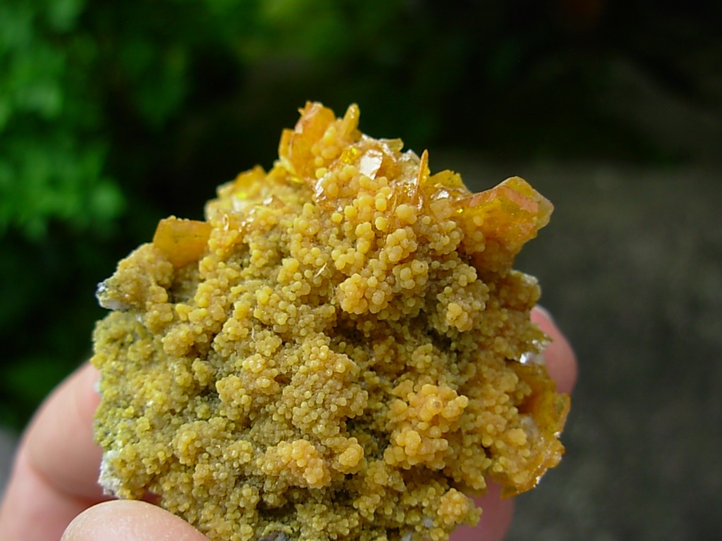 Wulfenite and Mimetite from the Tiger Mines, AZ