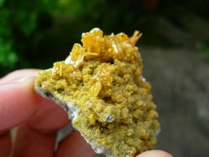 Wulfenite and Mimetite from the Tiger Mines, AZ