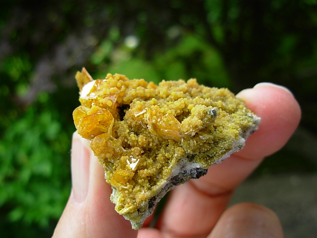 Wulfenite and Mimetite from the Tiger Mines, AZ