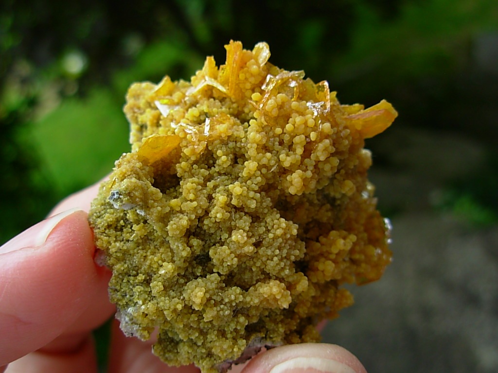 Wulfenite and Mimetite from the Tiger Mines, AZ