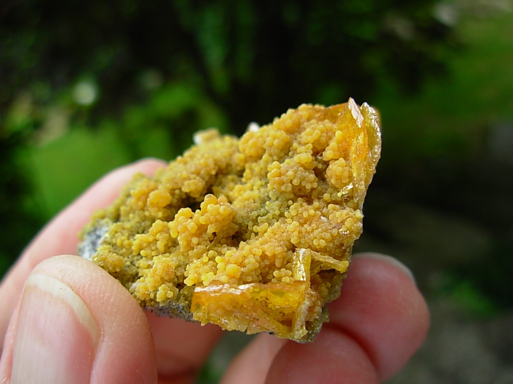 Wulfenite and Mimetite from the Tiger Mines, AZ