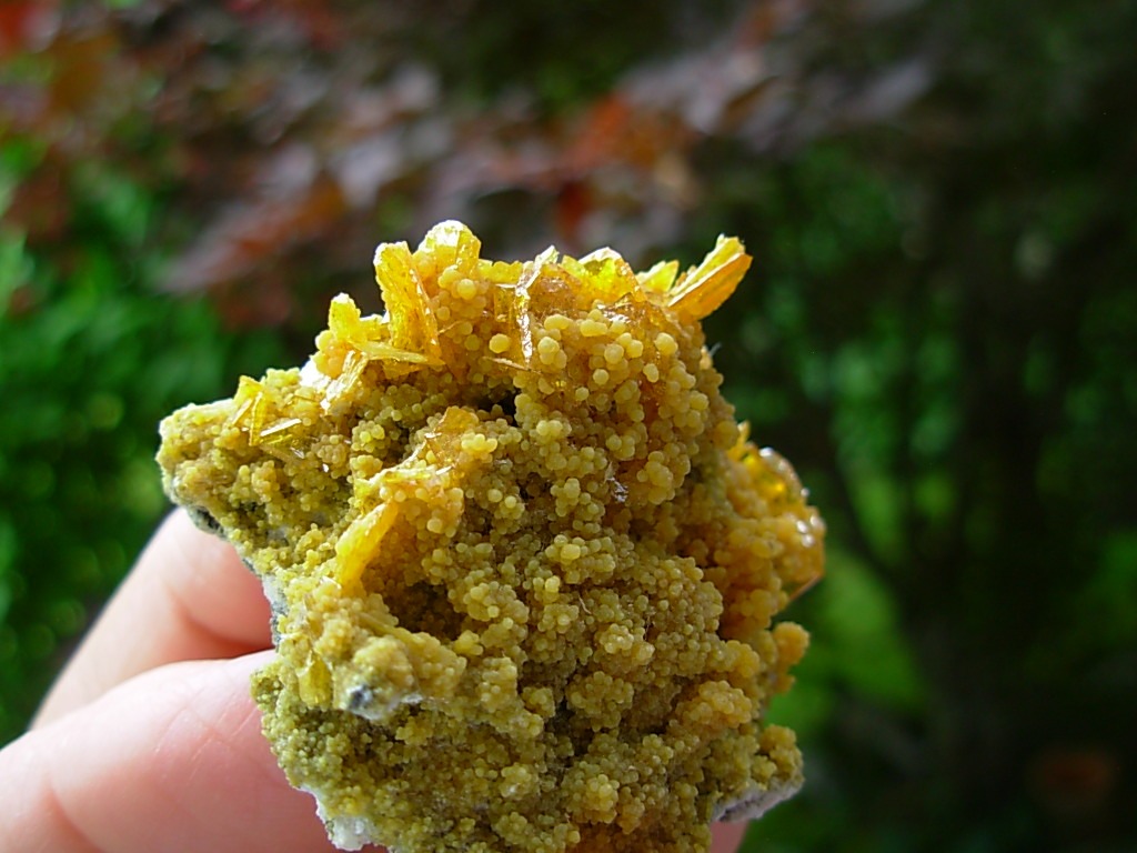 Wulfenite and Mimetite from the Tiger Mines, AZ