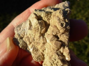 Olmiite Crystals on matrix N'Chwaning II Mine