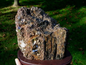 Muscovite on Black Tourmaline from Brazil