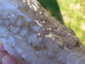 Exotic Elestial Jacaré Alligator Smoky Quartz Crystals