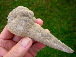 Very Rare 5.5 inch Mount Signal Cauliflower Sand Spike with Inclusion