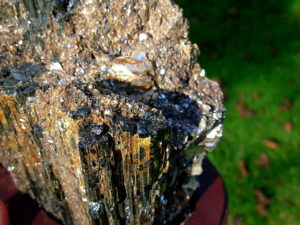 Muscovite on Black Tourmaline from Brazil