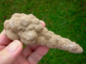 Very Rare and Exceptional 4.9 inch Mount Signal Botryoidal Cauliflower Sand Spike