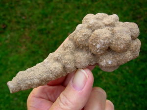 Very Rare and Exceptional 4.9 inch Mount Signal Botryoidal Cauliflower Sand Spike