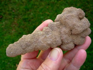 Very Rare and Exceptional 4.9 inch Mount Signal Botryoidal Cauliflower Sand Spike