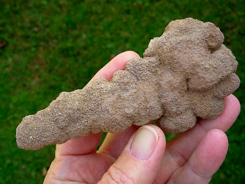 Sand Spikes (Mount Signal) - Spirit Rock Shop