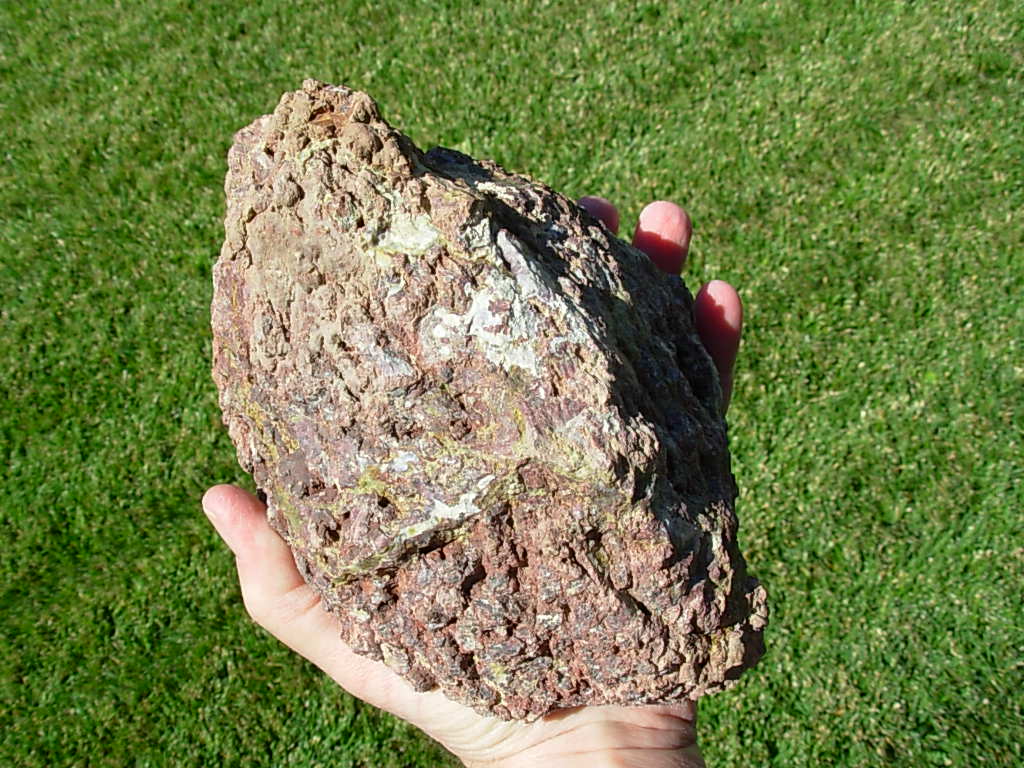 Rare XL Black Rock Desert Thunderegg Polished Half