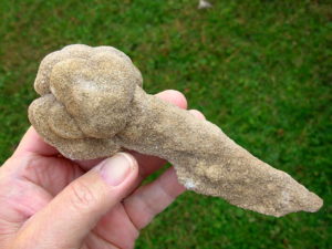 Very Rare 6.7 inch Mount Signal Cauliflower Sand Spike