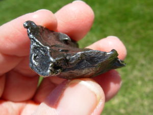 Sikhote-Alin Shrapnel 62.5g Iron Meteorite
