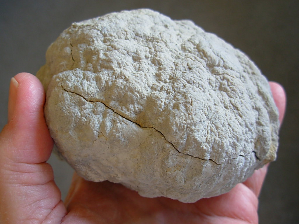 Peach Dogtooth Calcite on Brown Calcite cubes Geode ( Matched Pair) from Keokuk, Iowa