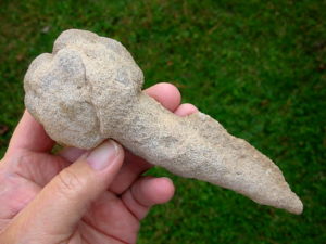Very Rare 6.7 inch Mount Signal Cauliflower Sand Spike