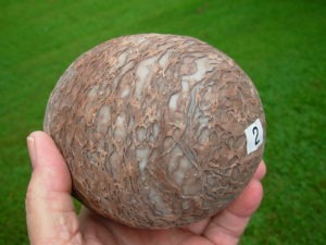 Dragon Eggs