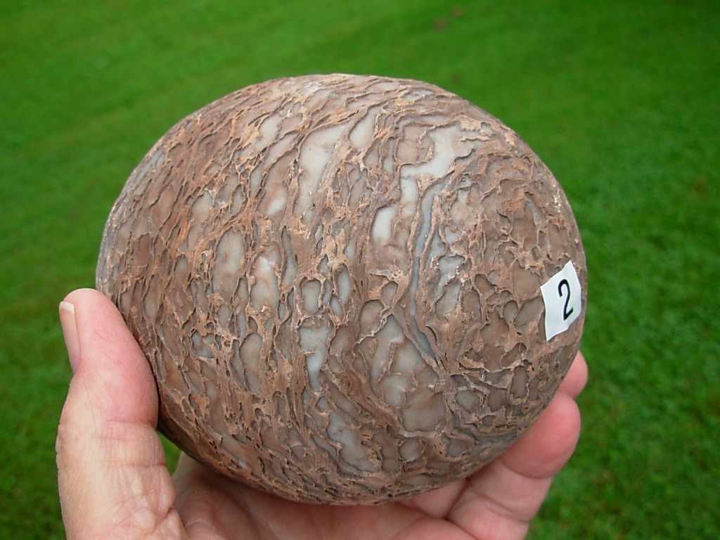 Dragon Eggs