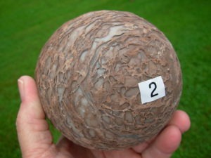 Dragon Eggs