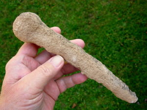 Rare 8 inch Mount Signal Sand Spike