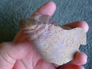 1 side shaped and smoothed Nevada Wonderstone from Wonderstone Mountain in Fallon, Nevada