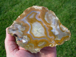 Tan and Quartz Crystal Kentucky Geode Cut Half