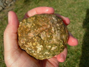 Reverse Scepter Quartz Needle Geode Pair